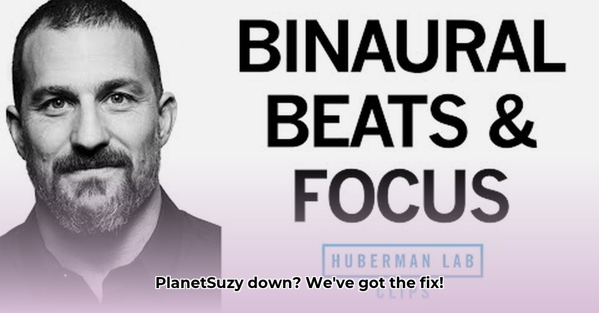 is-planetsuzy-down